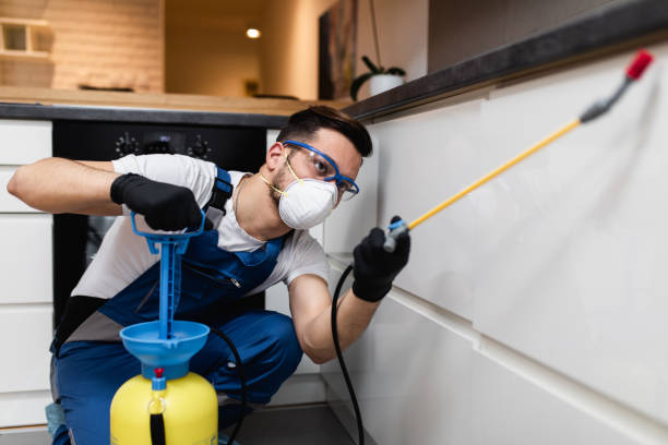 Reliable Union, NJ Pest Control Solutions