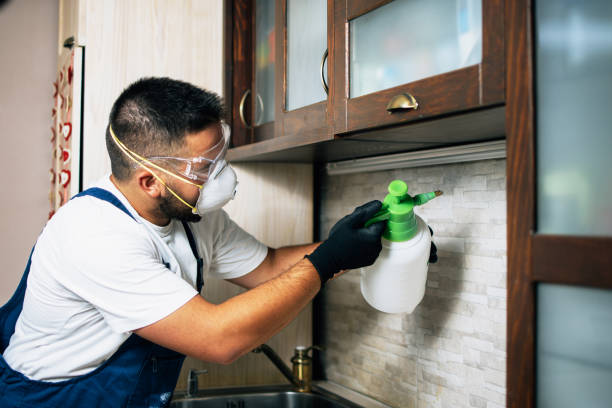 Best Termite Control Services  in Union, NJ