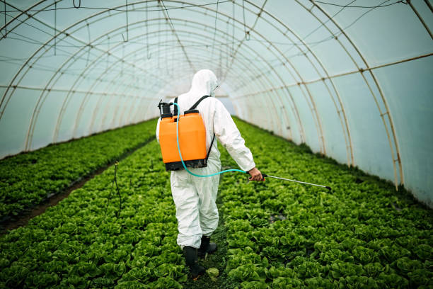 Best Residential Pest Control  in Union, NJ