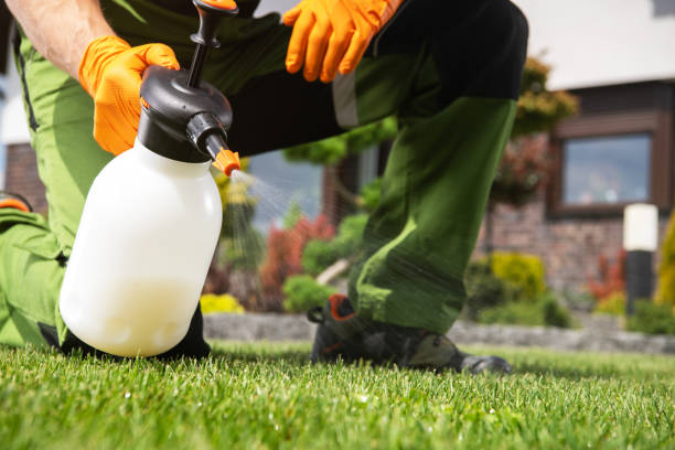Trusted Union, NJ Pest Control Experts