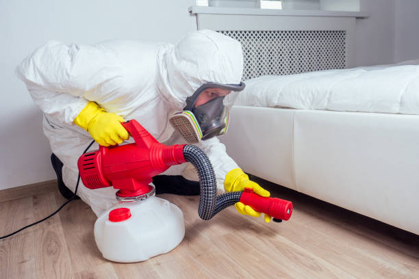 Best Insect Control  in Union, NJ