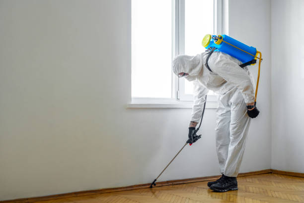 Best Bed Bug Extermination  in Union, NJ