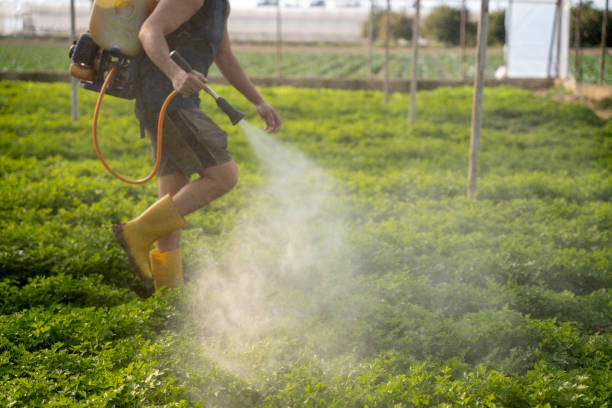 Pest Prevention Services in Union, NJ