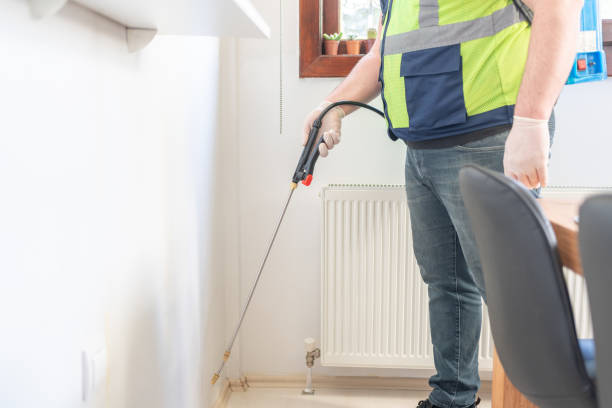 Best Local Pest Control Services  in Union, NJ
