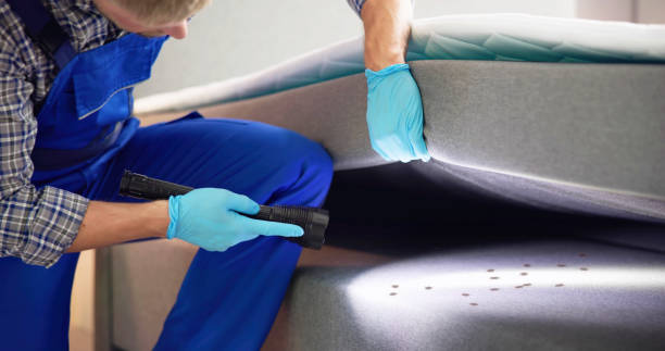 Best Flea Control Services  in Union, NJ