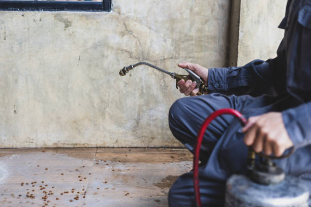 Best Mosquito Control Services  in Union, NJ